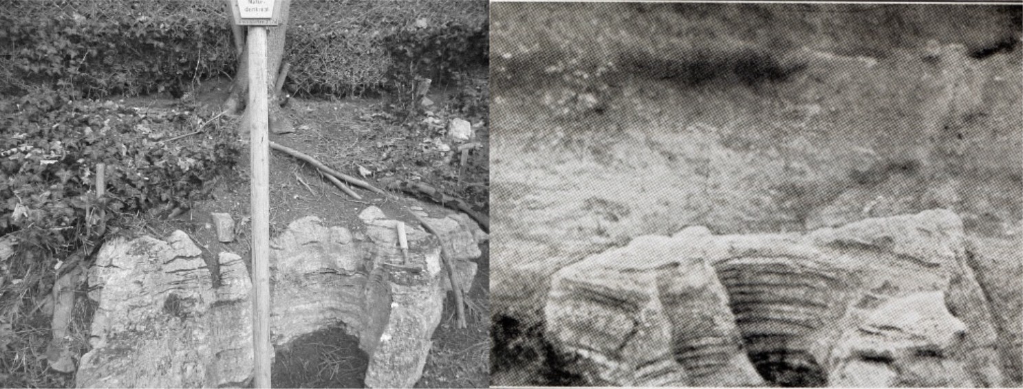 Montage der Aufnahmen von den GS 2, links C. Linde 2015, rechts E. Naumann 1908